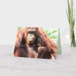Orang-Utan-Daumen-Hoch-Muttertagskarte Karte