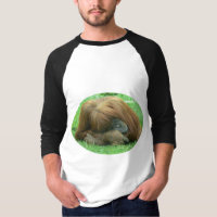 Orang-Utan der Baseball-Shirt Snoozing Männer