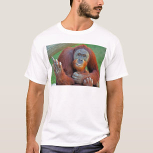 Orang-Utan, der den Vogel umdreht T-Shirt