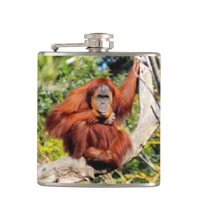 Orang-Utan Foto Flachmann (Vorderseite)