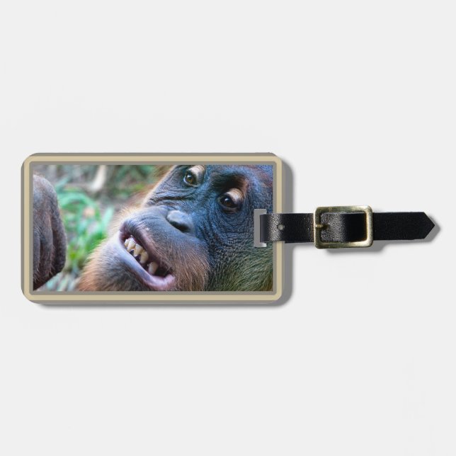 Orang-Utan Foto-Gepäck etikettiert #4 Gepäckanhänger (Vorderseite horizontal)