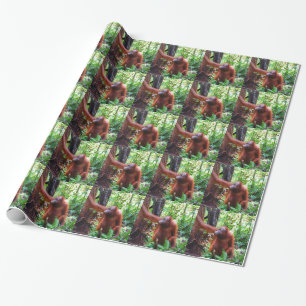 Orang-Utan Geschenkpapier