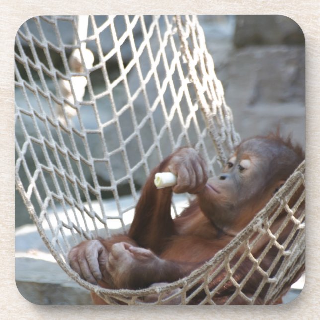 Orang-Utan Getränkeuntersetzer (Vorderseite)