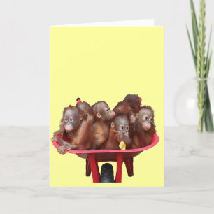 Orang-Utan Karte