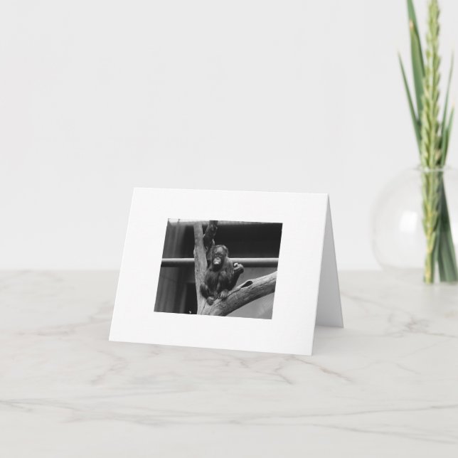 Orang-Utan Karte (Vorderseite)