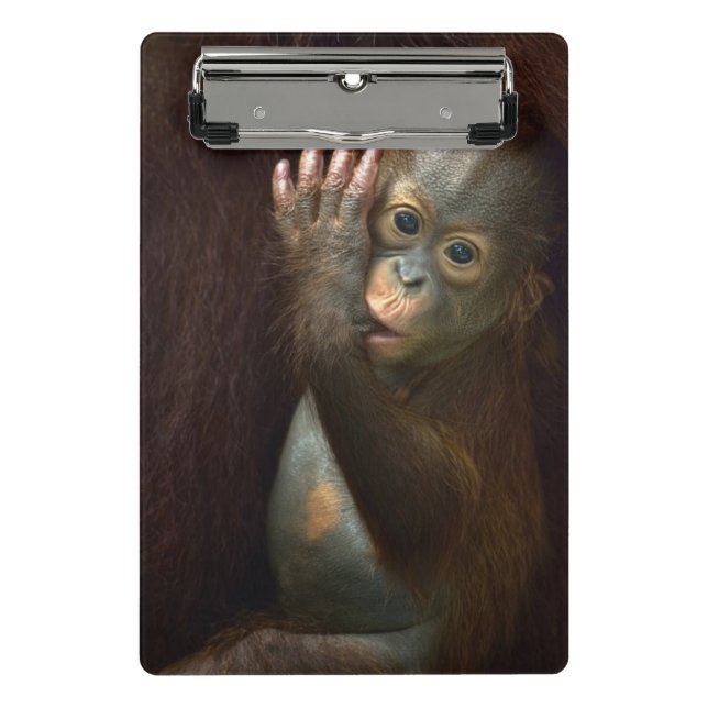 Orang-Utan Mini Klemmbrett (Vorderseite)