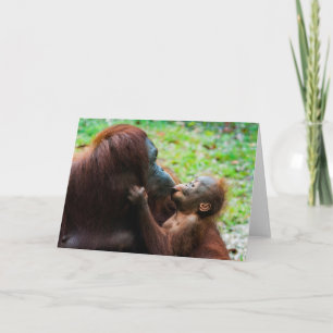 Orang-Utan-Mutter mit Baby Karte