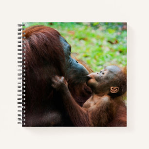 Orang-Utan-Mutter mit Baby Notizbuch