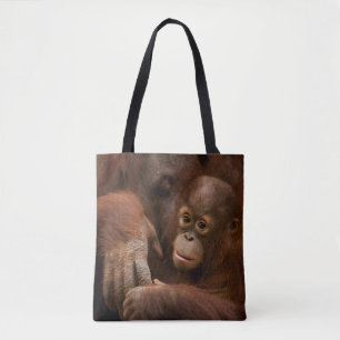 Orang-Utan-Mutter und Baby im Zoo