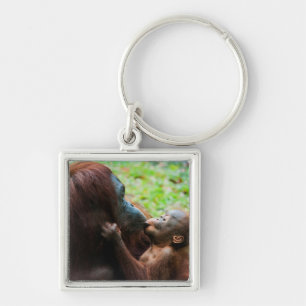 Orang-Utan-Mutter und Baby Schlüsselanhänger