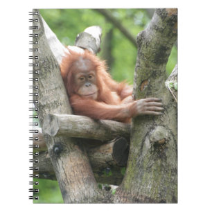 Orang-Utan Notizblock