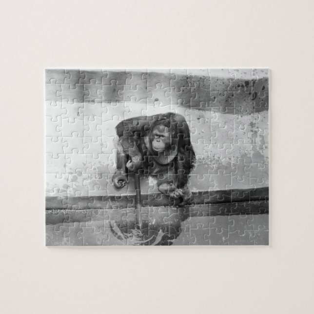 Orang-Utan Puzzle (Horizontal)