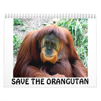 Orang-Utan, RETTEN DEN ORANG-UTAN Kalender