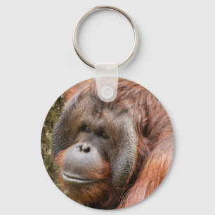Orang-Utan Schlüsselanhänger