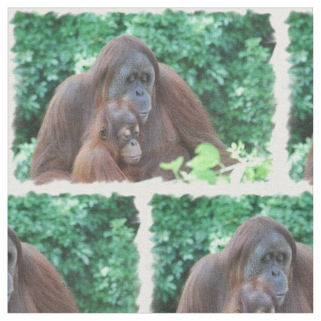 Orang-Utan Stoff (Nahaufnahme)
