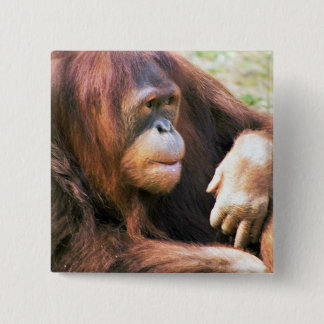 Orang-Utan Stützen Button