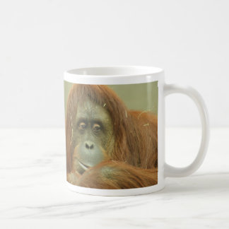 Orang-Utan Tasse