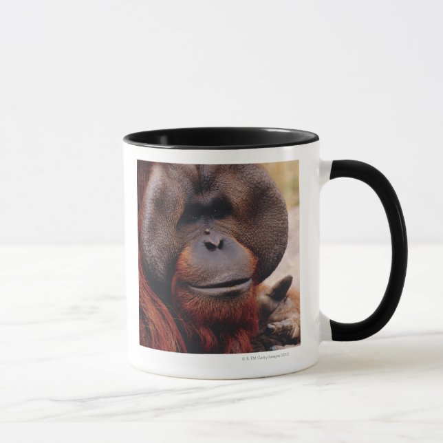 Orang-Utan Tasse (Rechts)