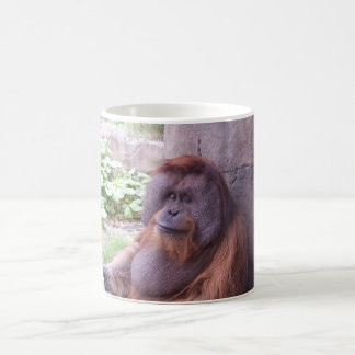 Orang-Utan Tasse