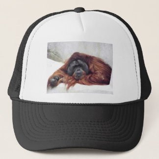 Orang-Utan Truckerkappe