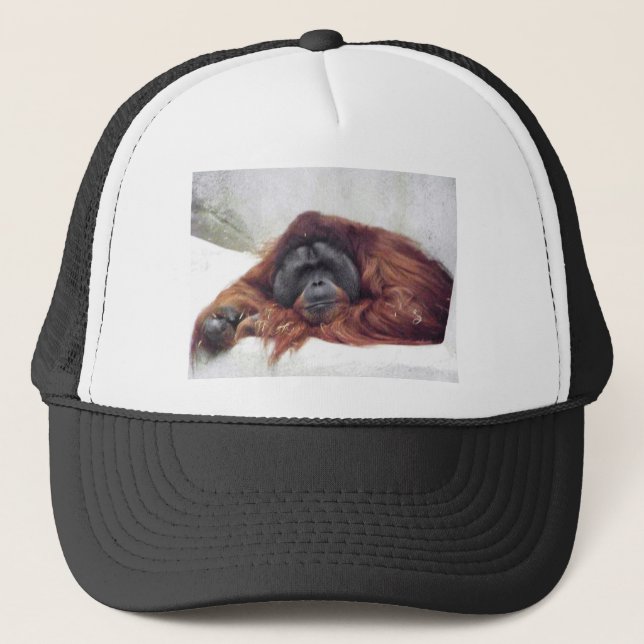 Orang-Utan Truckerkappe (Vorderseite)