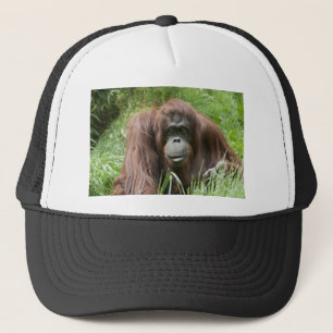 Orang-Utan Truckerkappe