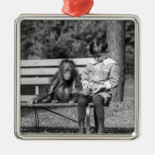 Orang-Utan und Junge - nationaler Zoo Ornament Aus Metall
