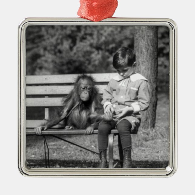 Orang-Utan und Junge - nationaler Zoo Ornament Aus Metall (Vorne)