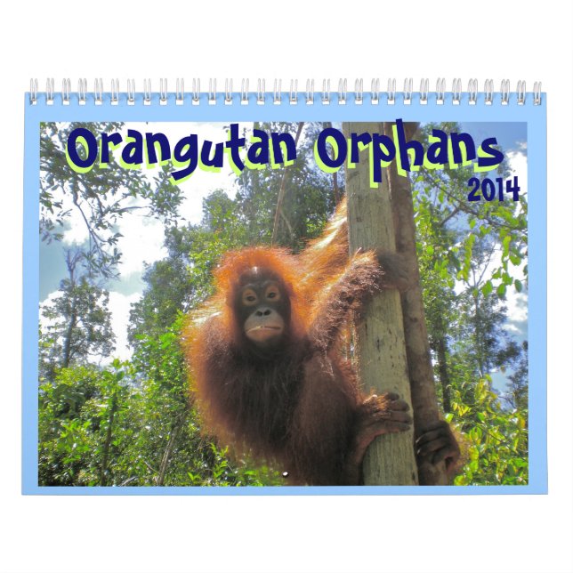Orang-Utan Waisen Kalender (Titelbild)
