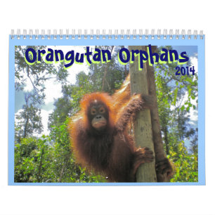 Orang-Utan Waisen Kalender