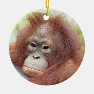 Orang-Utan Waisendr. Ann Keramikornament