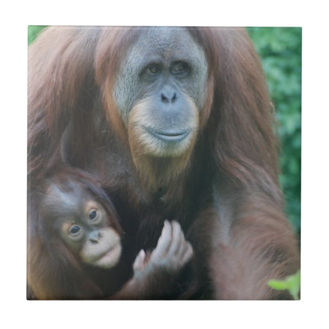 Orang-Utans Fliese (Vorderseite)