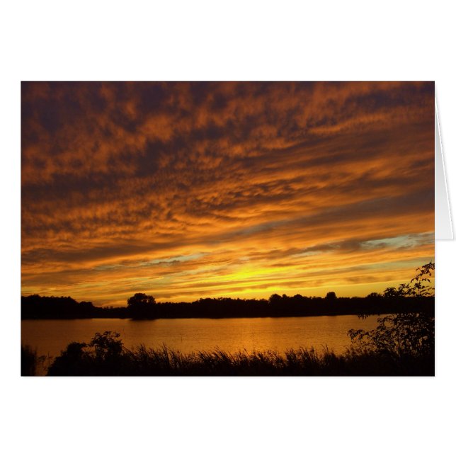 Orange (Vorderseite (Horizontal))