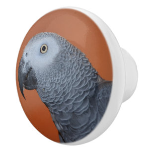 Orange African Gray Parrot Dresser Knob Keramikknauf