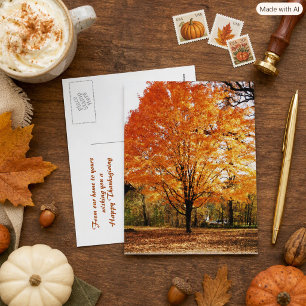 Orange Ahornblätter Thanksgiving Foto Postkarte