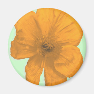 Orange Aid/PopArt-Blume Magnet