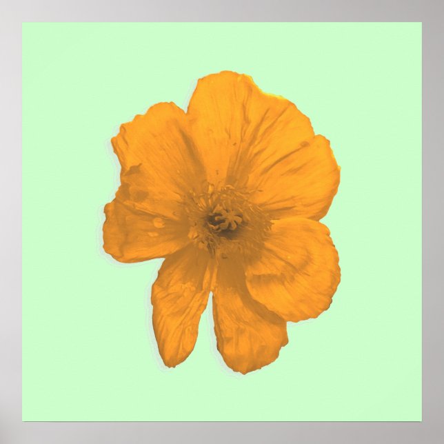 Orange Aid/PopArt-Blume Poster (Vorne)