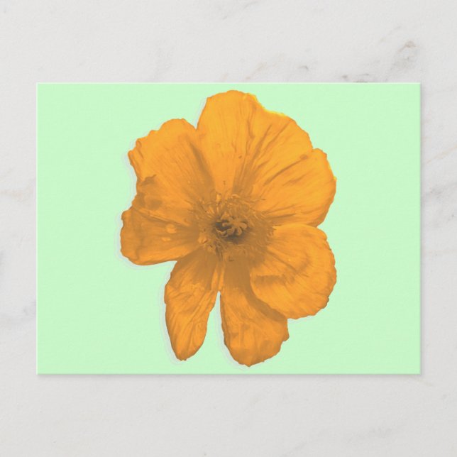 Orange Aid/PopArt-Blume Postkarte (Vorderseite)