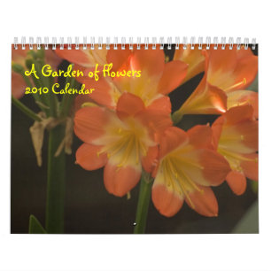 Orange Amaryllis Kalender
