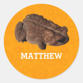 Orange American Toad Foto Personalisiert Runder Aufkleber