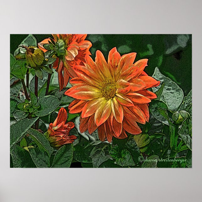 "ORANGE AND YELLOW DAHLIA" POSTER (Vorne)