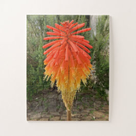 Orange and Yellow Flower Puzzle