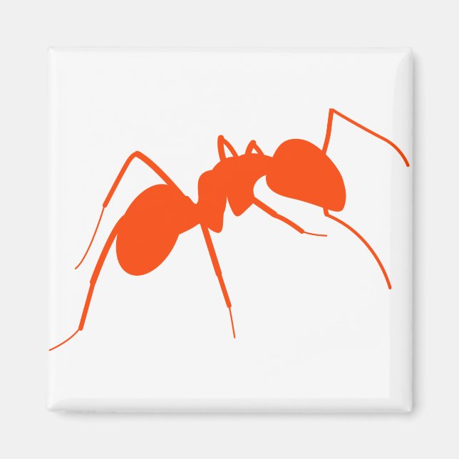 Orange Ant Magnet (Vorne)