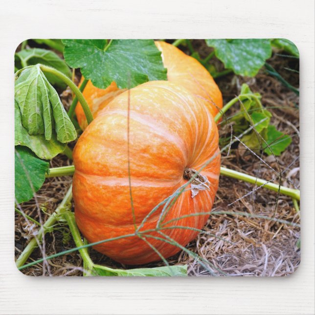 Orange Aschenputtel-Kürbis Mousepad (Vorne)