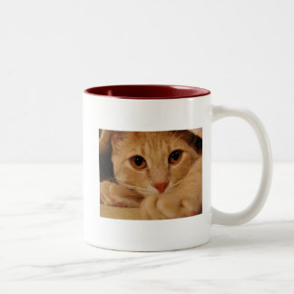 Orange Augen Zweifarbige Tasse