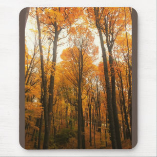 Orange Autumn Forest Mousepad