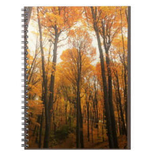 Orange Autumn Forest Notizblock