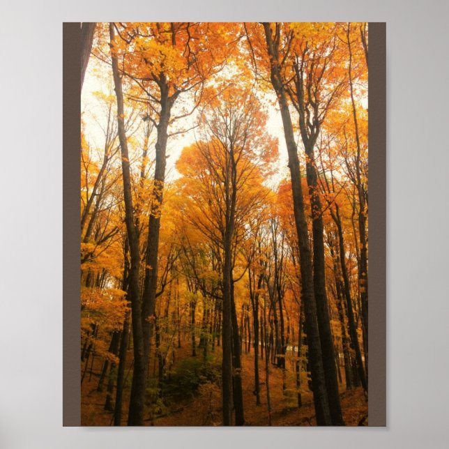 Orange Autumn Forest Poster (Vorne)