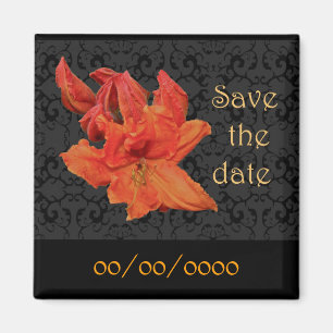 Orange Azalea Blüten Magnet