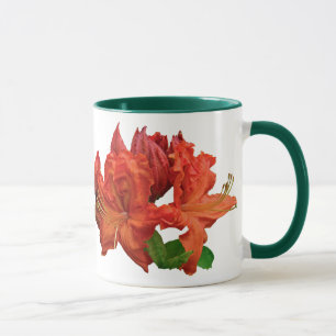 Orange Azalea Blüten Tasse